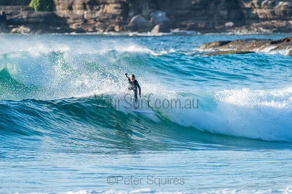 Whale Beach_210211_072930_0629