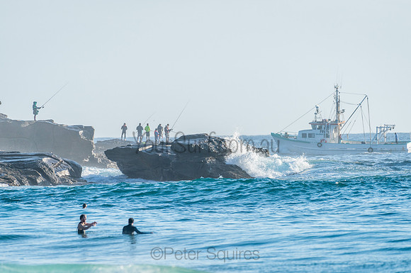 Whale Beach_210211_073312_0729