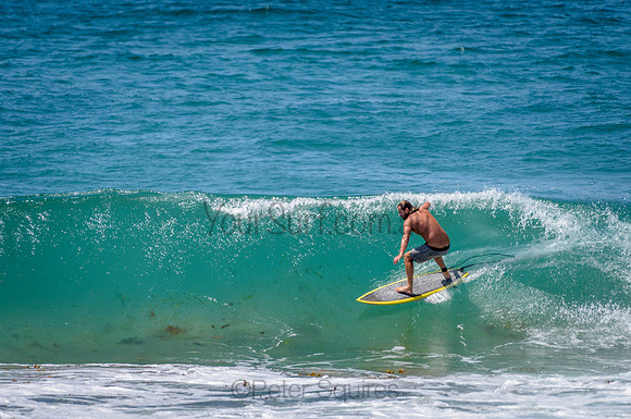 Avalon_210211_120706_0087