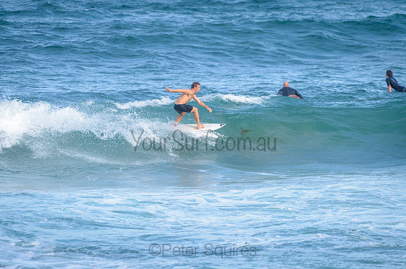 Avalon_210212_171601_0110