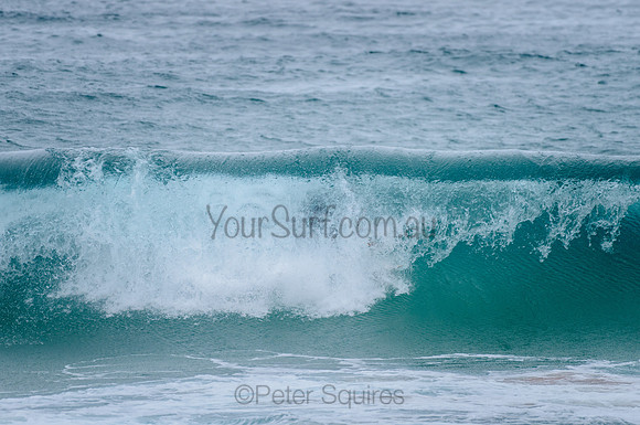 Palm_Beach_210215_124957_0155