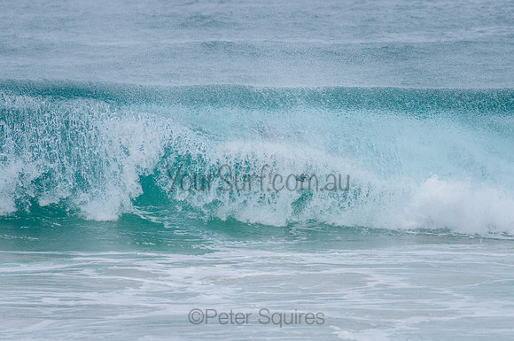 Palm_Beach_210215_131336_0294
