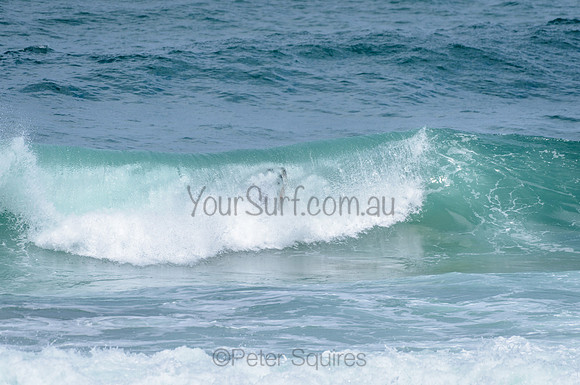 Avalon_210219_144835_0149