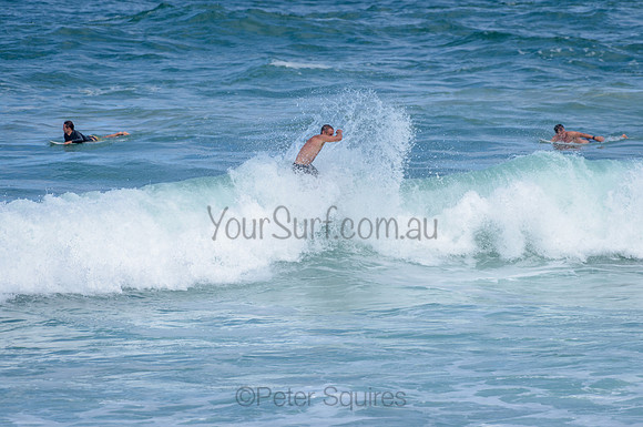 Avalon_210219_151311_0181