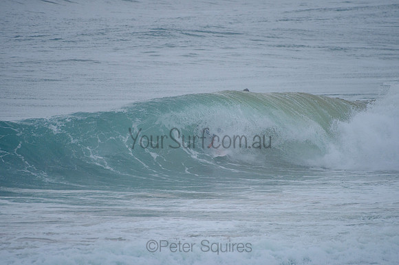 Avalon_210220_094134_0115