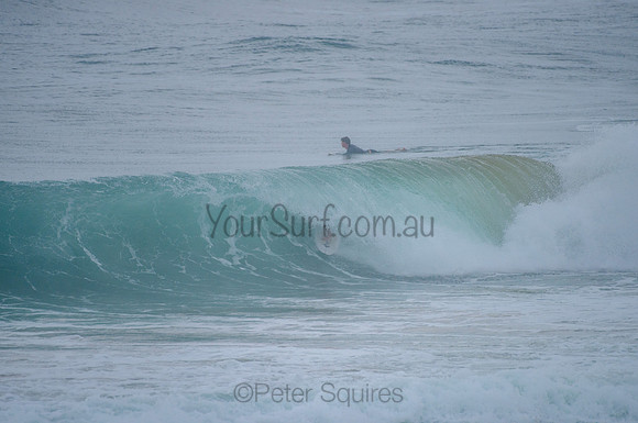 Avalon_210220_094134_0118
