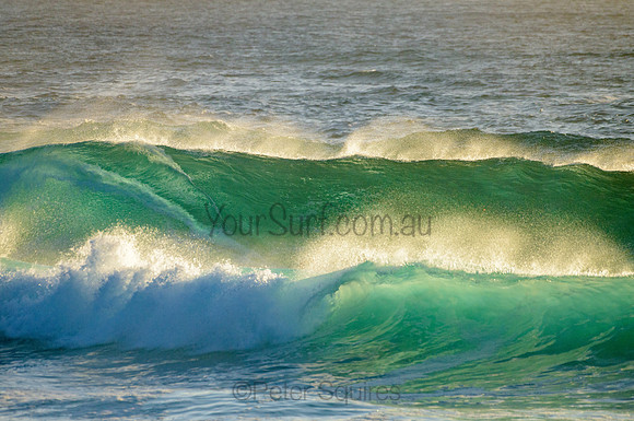 Whale Beach_210222_072045_0068