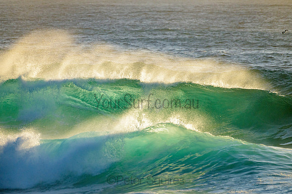 Whale Beach_210222_072046_0069