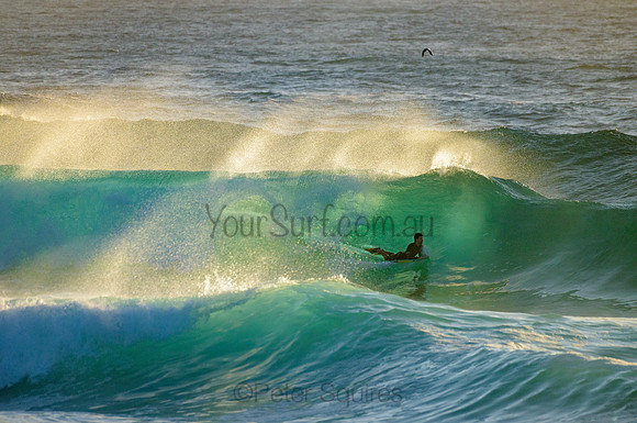 Whale Beach_210222_072047_0071