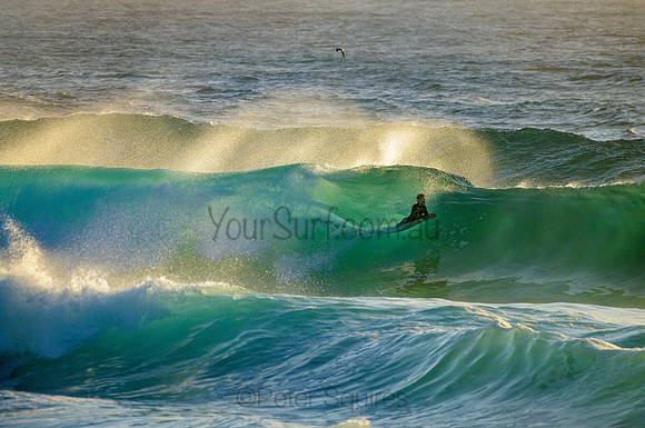 Whale Beach_210222_072047_0072