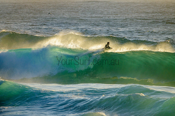Whale Beach_210222_072047_0075