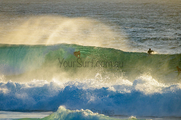 Whale Beach_210222_072052_0077