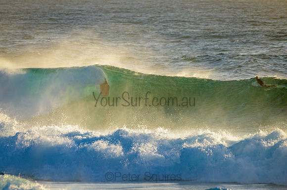 Whale Beach_210222_072053_0081
