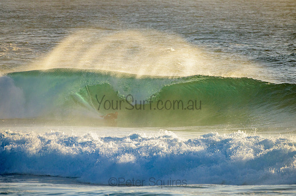 Whale Beach_210222_072055_0090