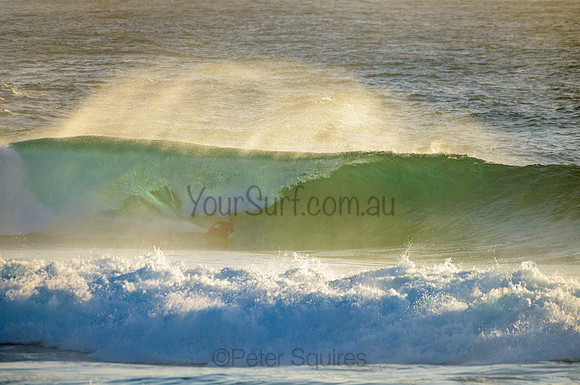 Whale Beach_210222_072055_0091