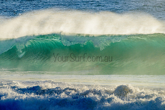 Whale Beach_210222_072508_0161
