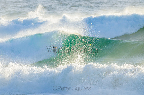 Whale Beach_210222_072703_0195