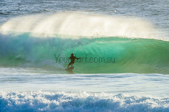Whale Beach_210222_073207_0226