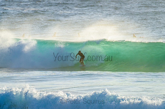 Whale Beach_210222_073208_0232