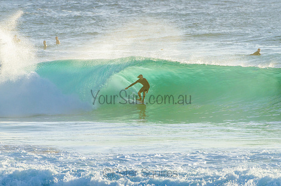 Whale Beach_210222_073210_0242