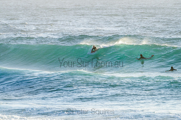 Whale Beach_210222_073341_0264