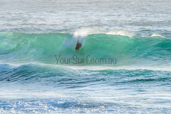 Whale Beach_210222_073342_0266
