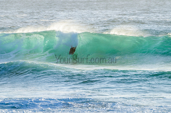 Whale Beach_210222_073343_0267
