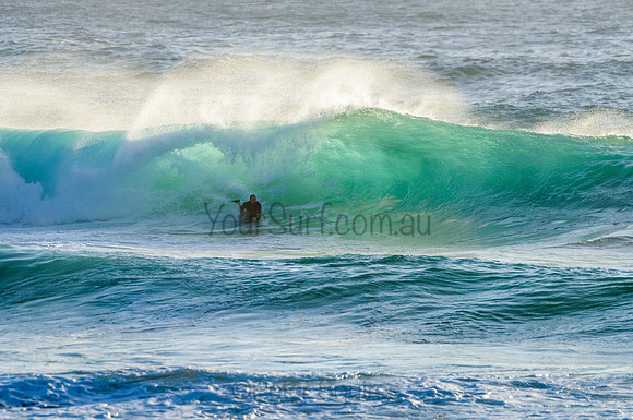 Whale Beach_210222_073344_0270