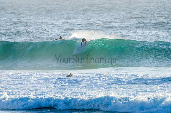 Whale Beach_210222_073406_0276