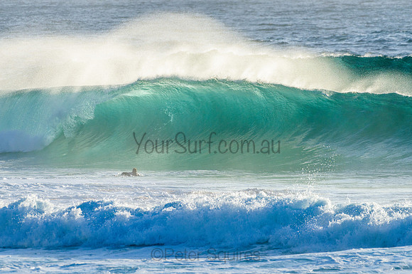 Whale Beach_210222_073433_0296