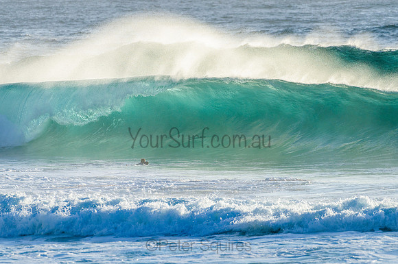 Whale Beach_210222_073433_0297