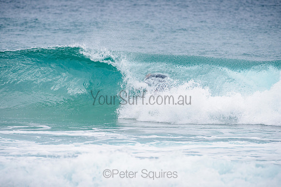 Whale Beach_210224_102207_0025