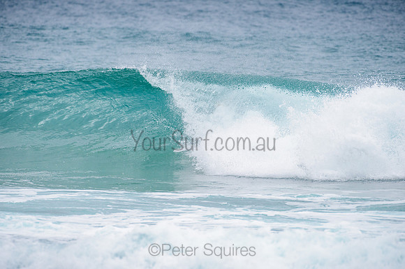 Whale Beach_210224_102207_0026