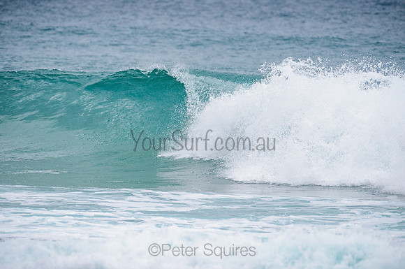Whale Beach_210224_102208_0027