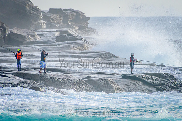 Whale Beach_210225_081325_0005