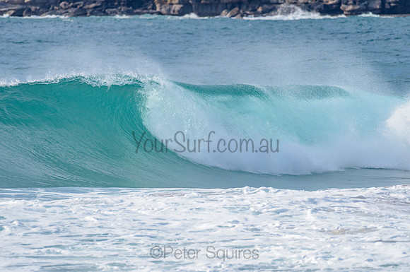 Whale Beach_210225_085507_0076