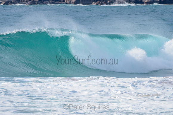 Whale Beach_210225_085507_0077