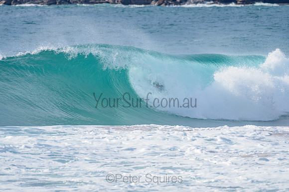 Whale Beach_210225_085507_0078