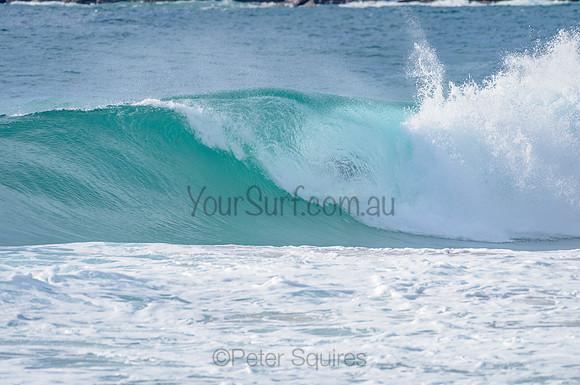Whale Beach_210225_085508_0080
