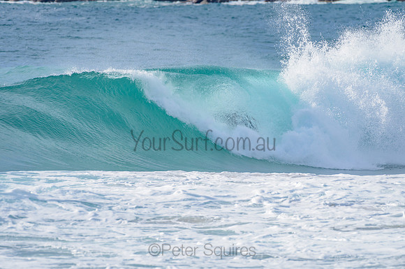 Whale Beach_210225_085508_0081