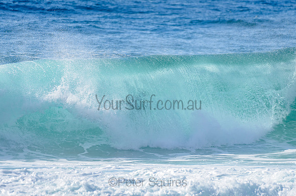 Whale Beach_210225_092335_0191