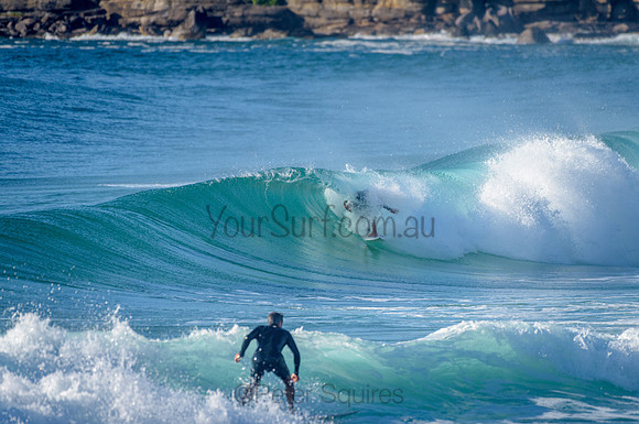 Whale Beach_210226_082106_0141