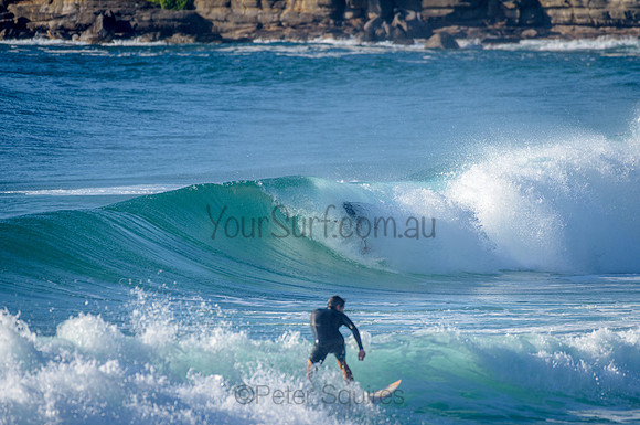 Whale Beach_210226_082106_0142