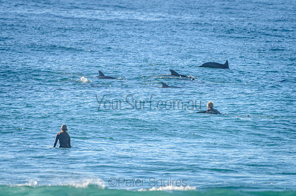 Whale Beach_210226_082307_0151
