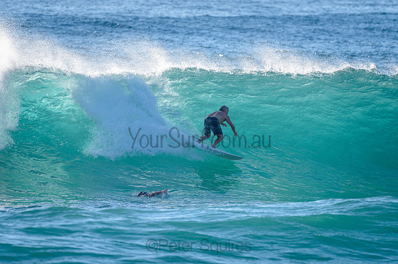 Whale Beach_210226_082646_0170