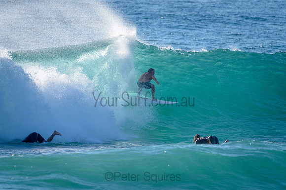 Whale Beach_210226_082648_0179