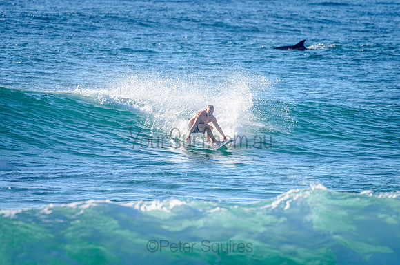 Whale Beach_210226_082652_0184