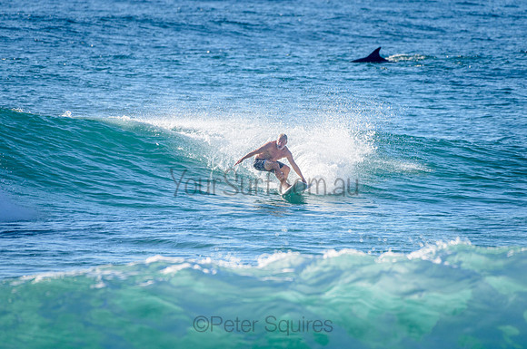 Whale Beach_210226_082652_0185