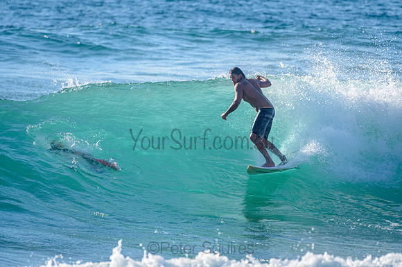Whale Beach_210226_082824_0198