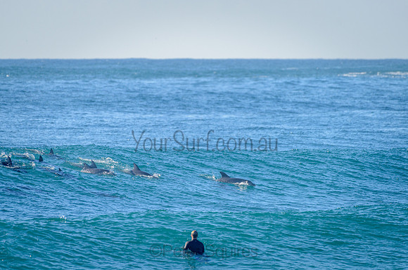 Whale Beach_210226_082856_0205